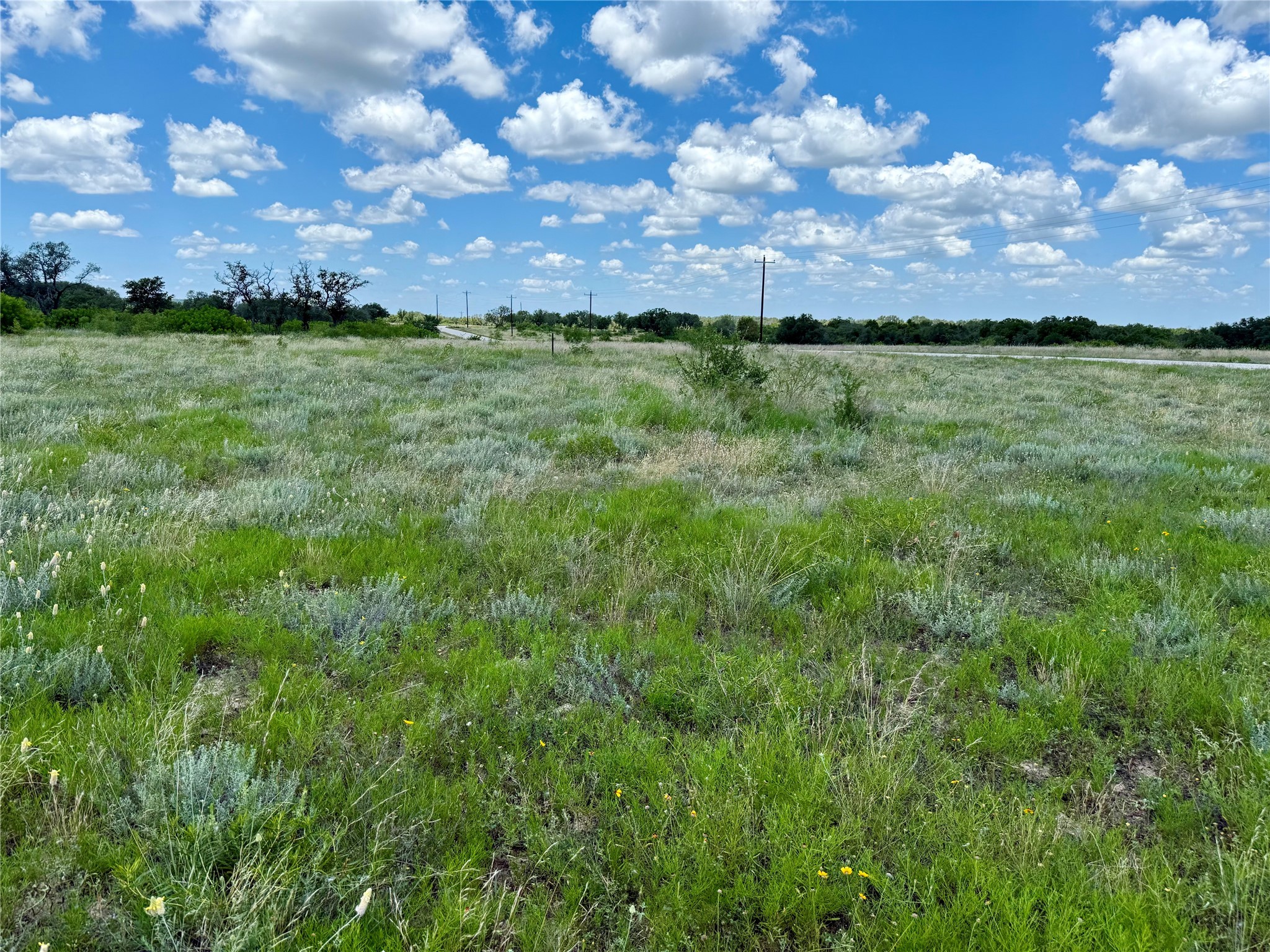 Lot 39 Pecan Valley Drive Gustine TX 76455