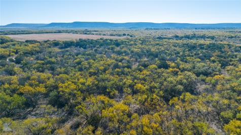 Tbd 26 Acres, Lytle Cove Road Abilene TX 79602