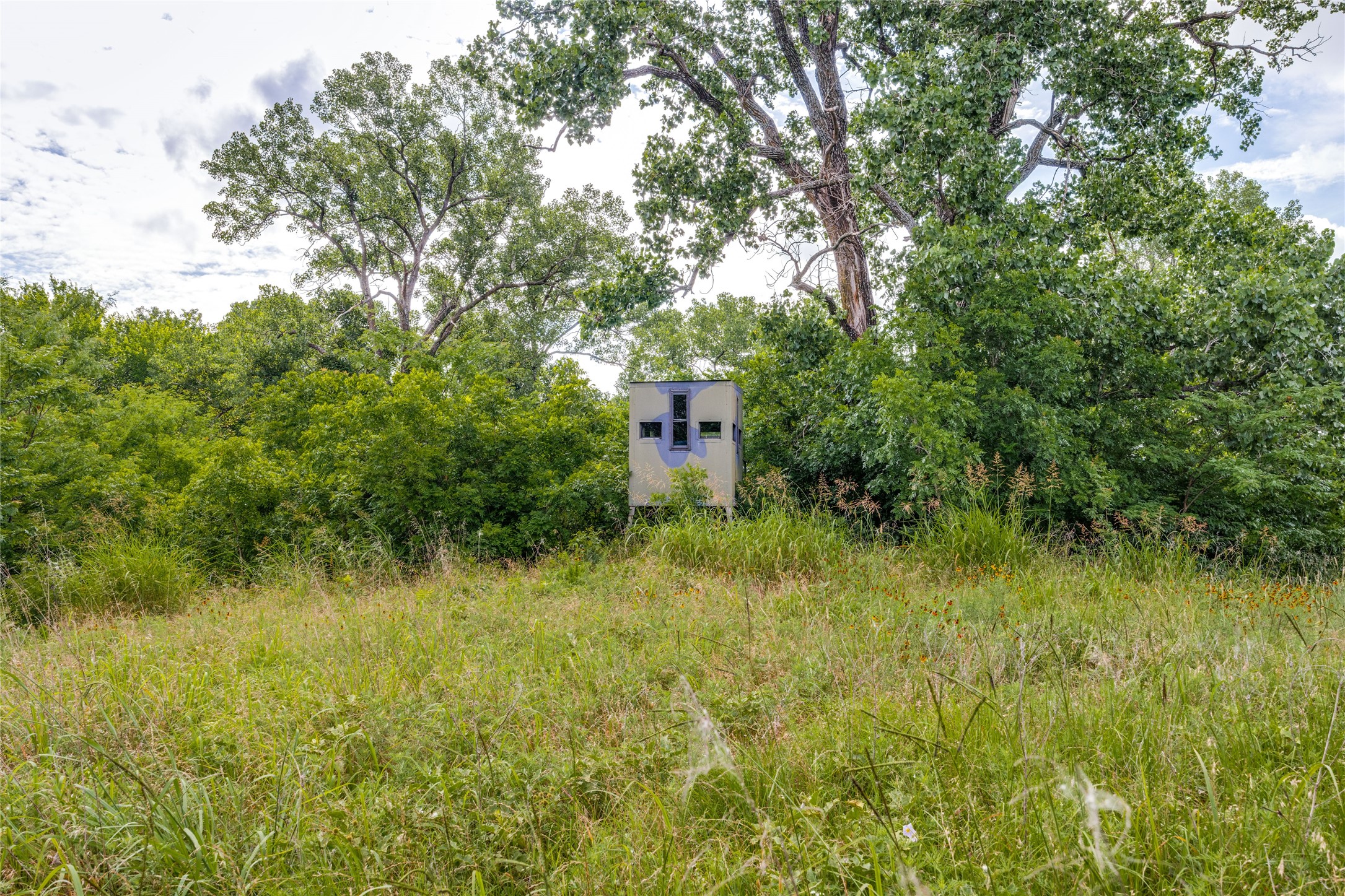 10092 W Fm 1753 Savoy TX 76479