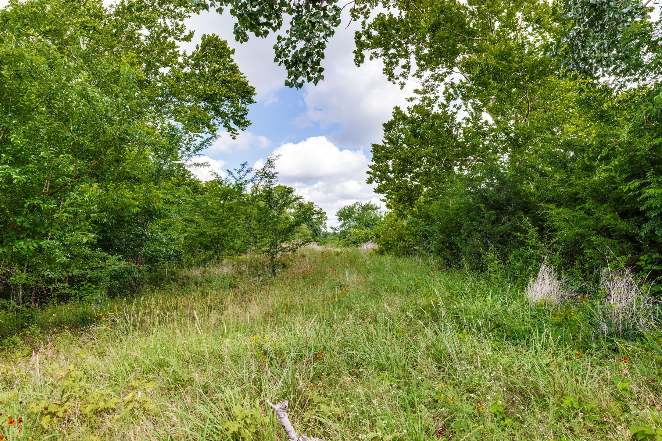 10092 W Fm 1753 Savoy TX 76479