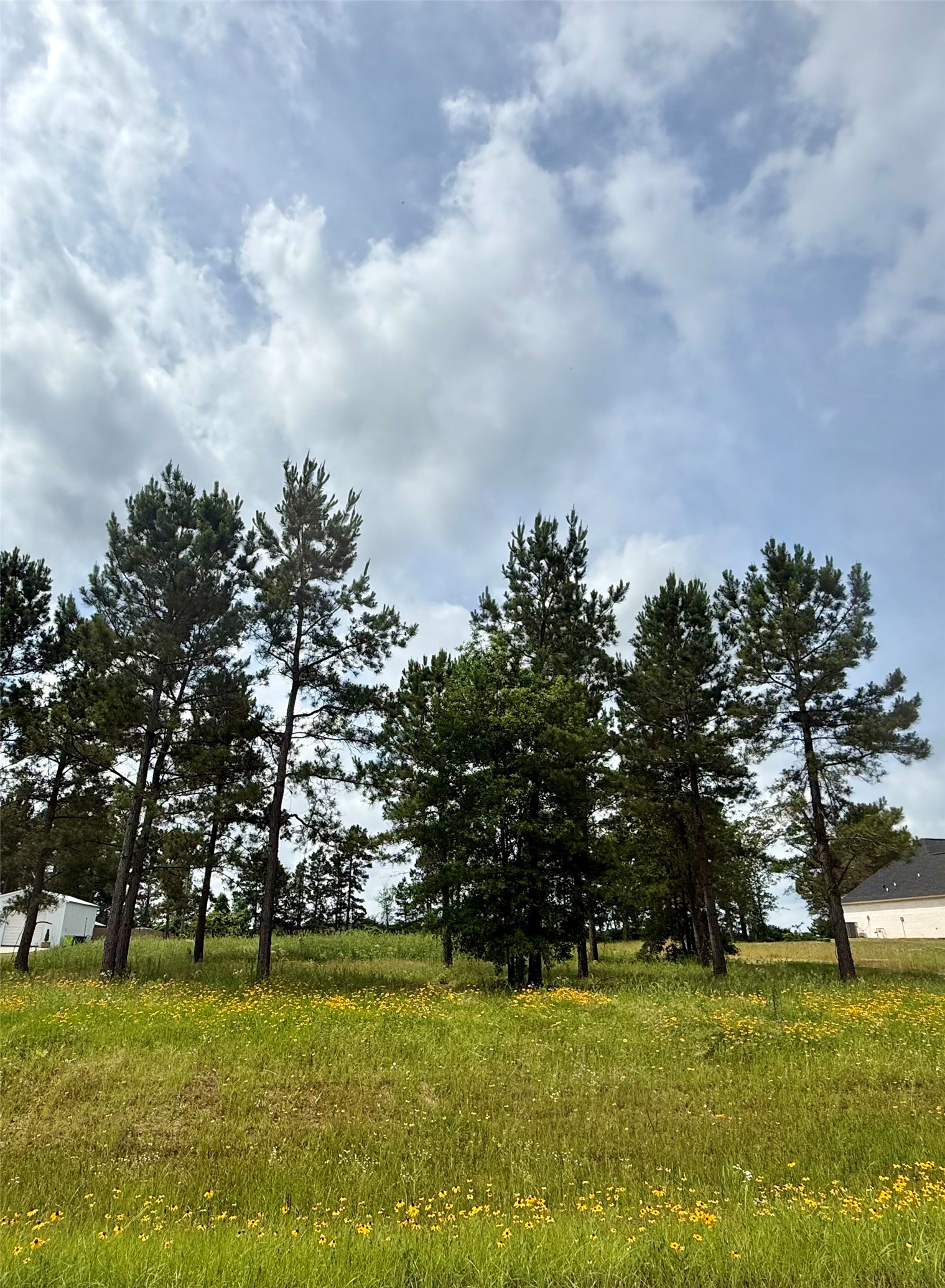 117 Faith Plantation Drive Princeton LA 71067