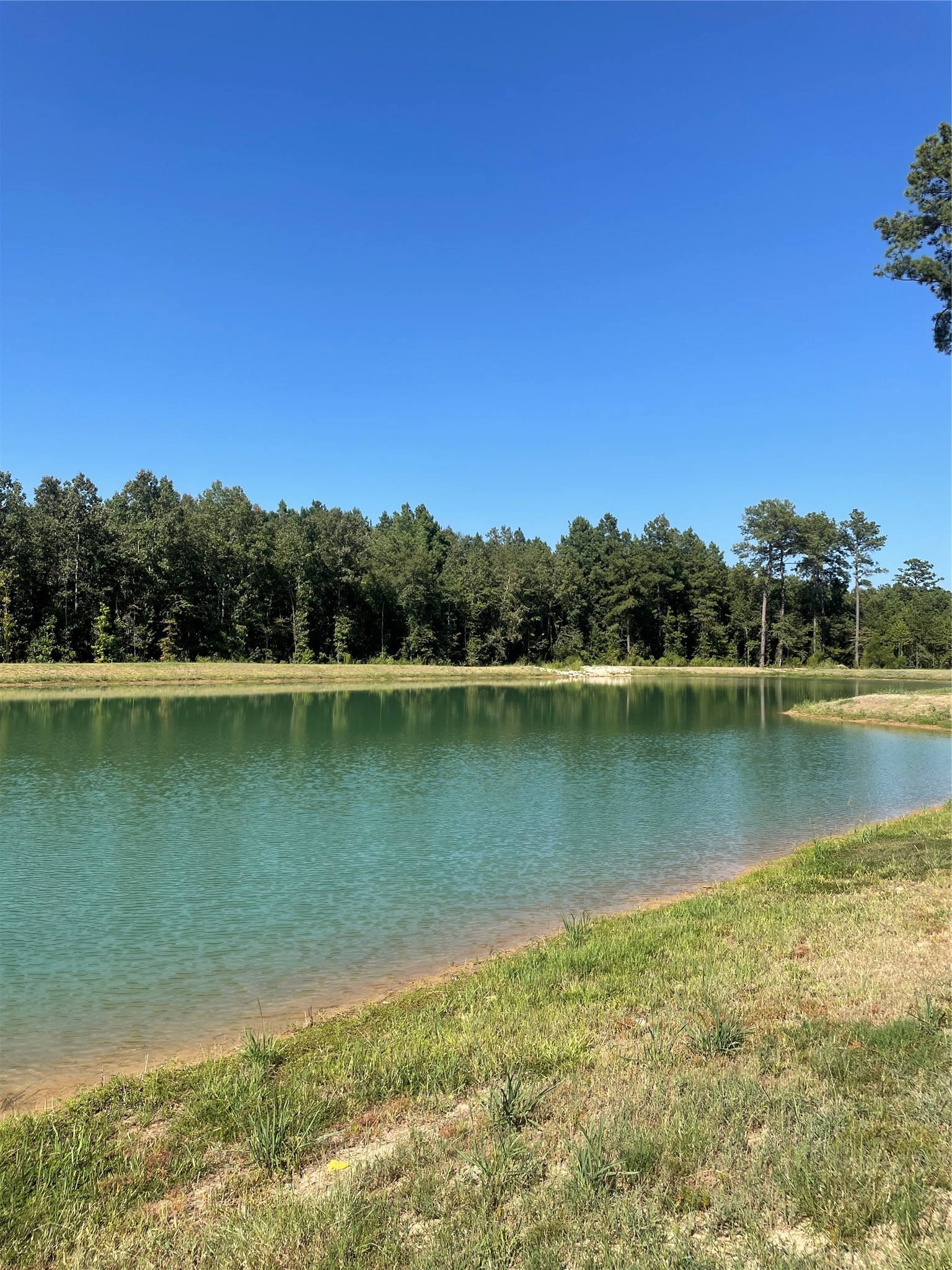 117 Faith Plantation Drive Princeton LA 71067
