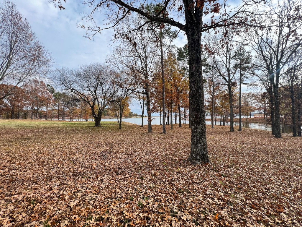 Lot 12 Eagles Nest Drive Mount Vernon TX 75457