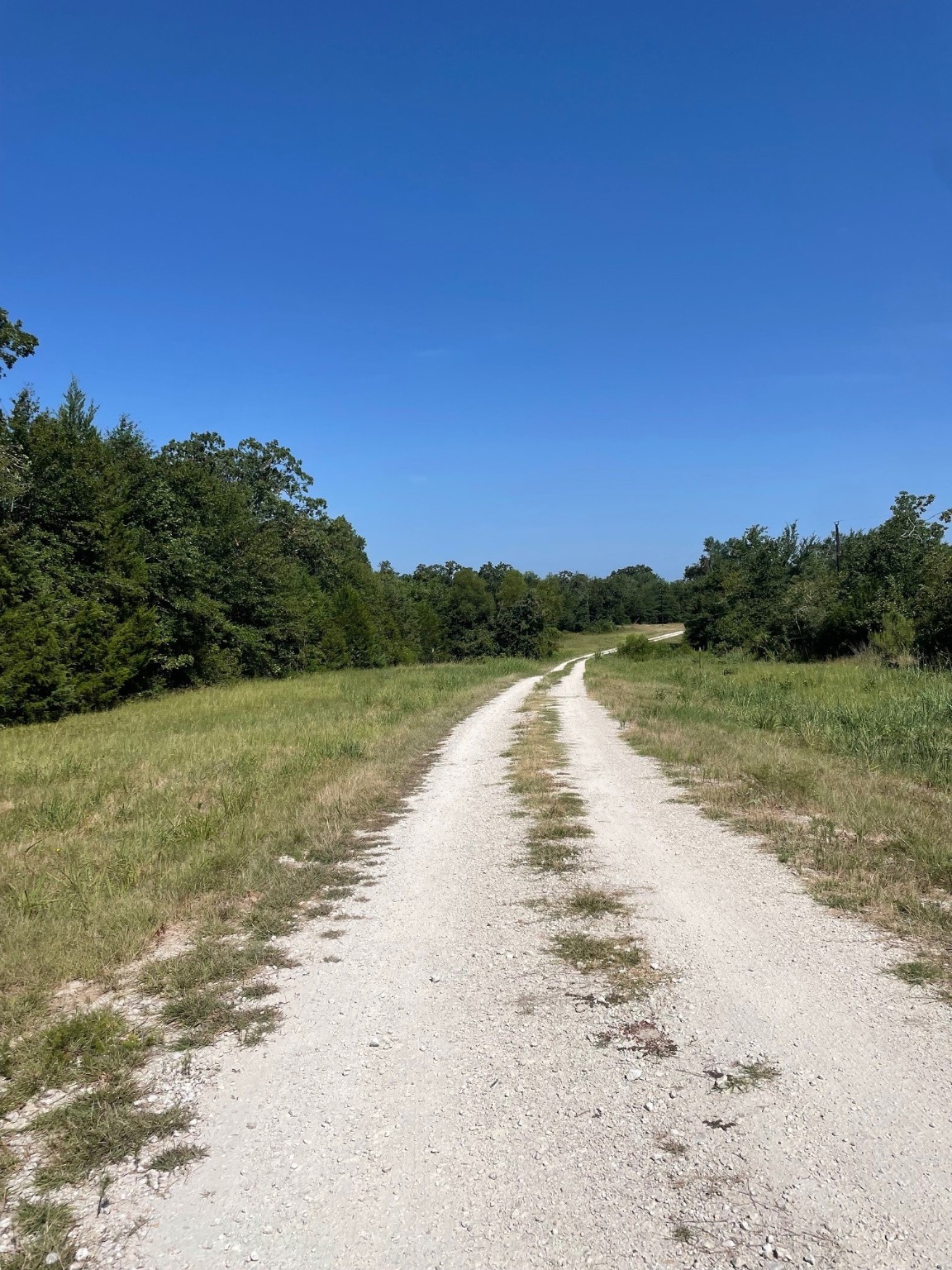 00 Tbd 828 Lcr 828 Groesbeck TX 76642