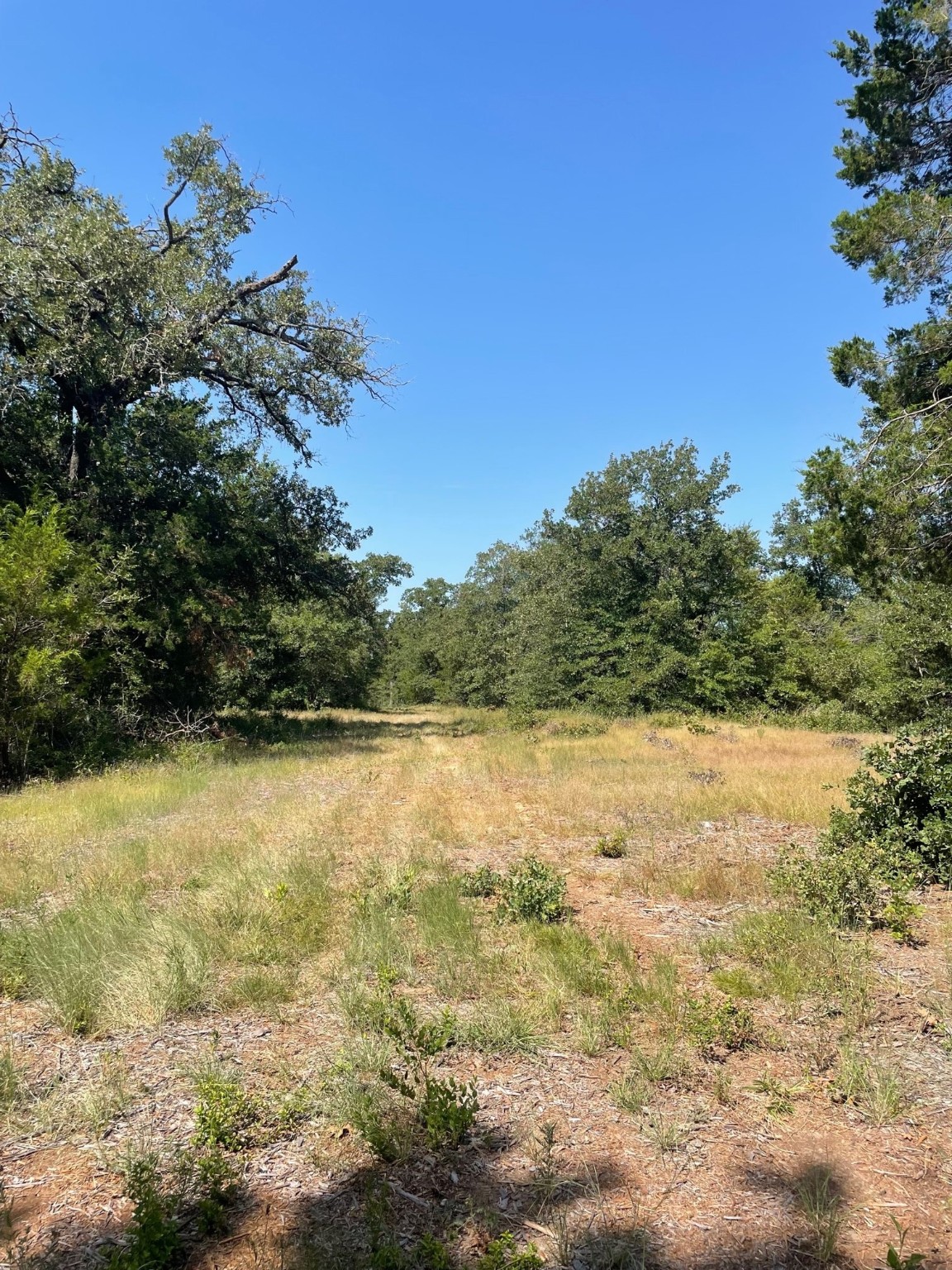 00 Tbd 828 Lcr 828 Groesbeck TX 76642