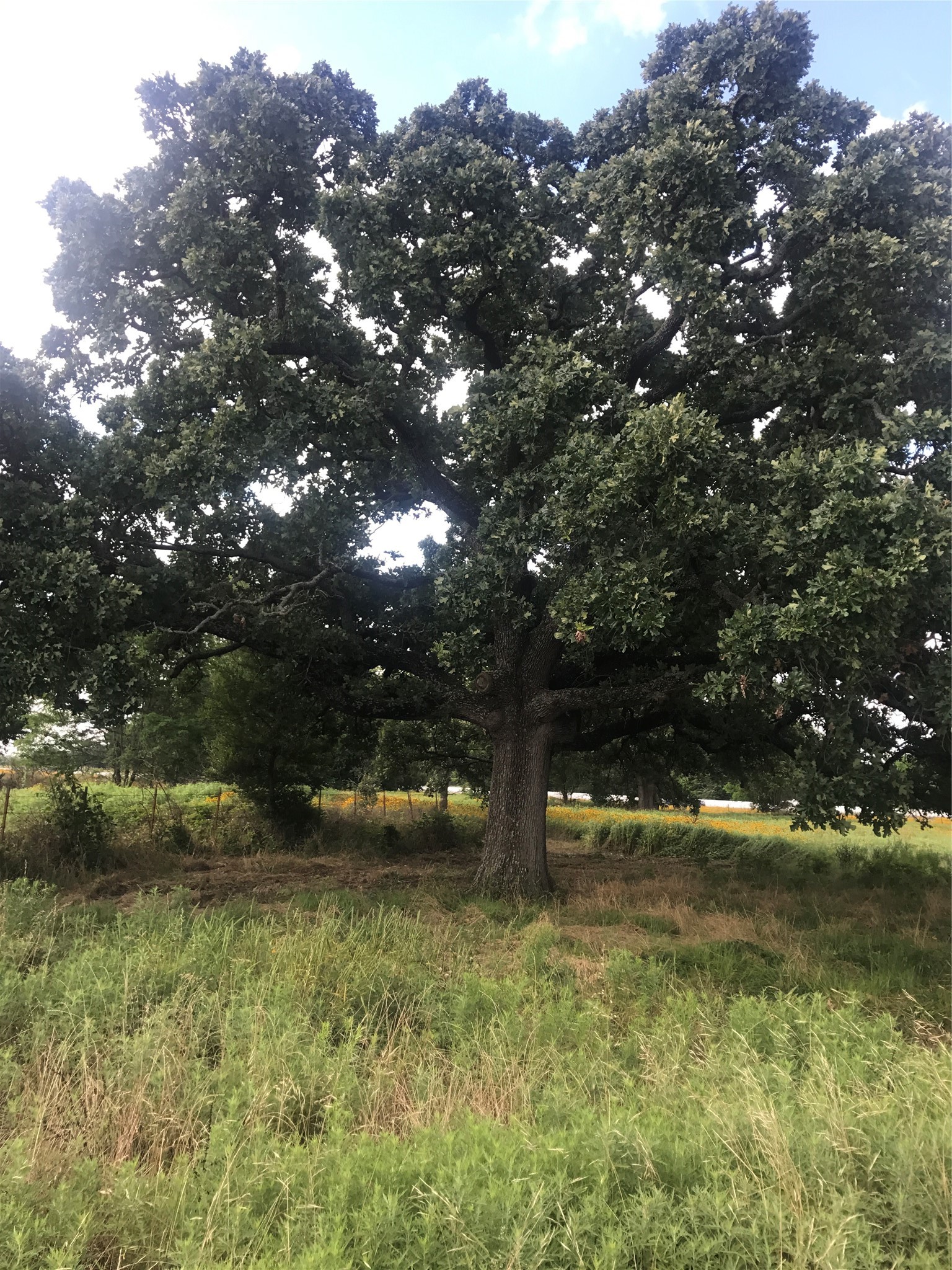 0000 Tbd I 20 Frontage Wills Point TX 75169