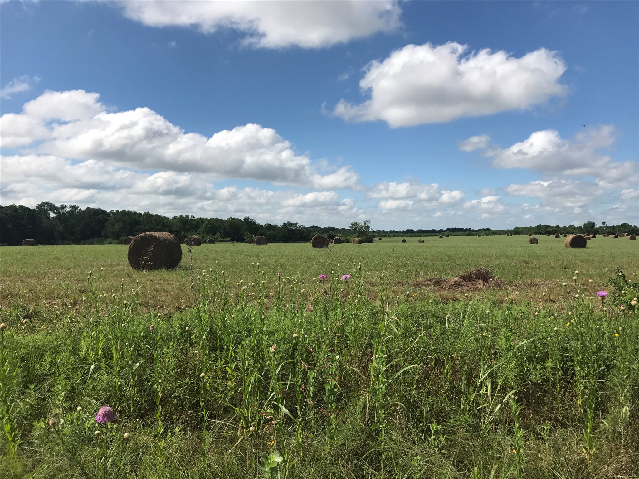 0000 Tbd I 20 Frontage Wills Point TX 75169