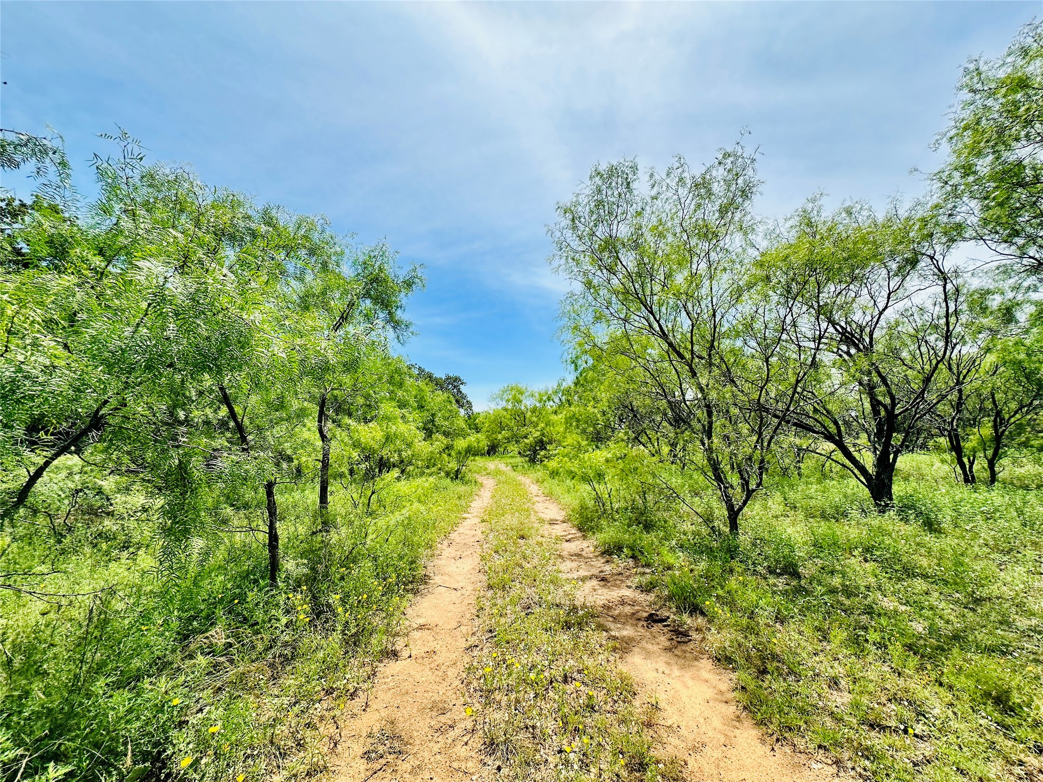 Tbd Cr 404 Cross Plains TX 76443