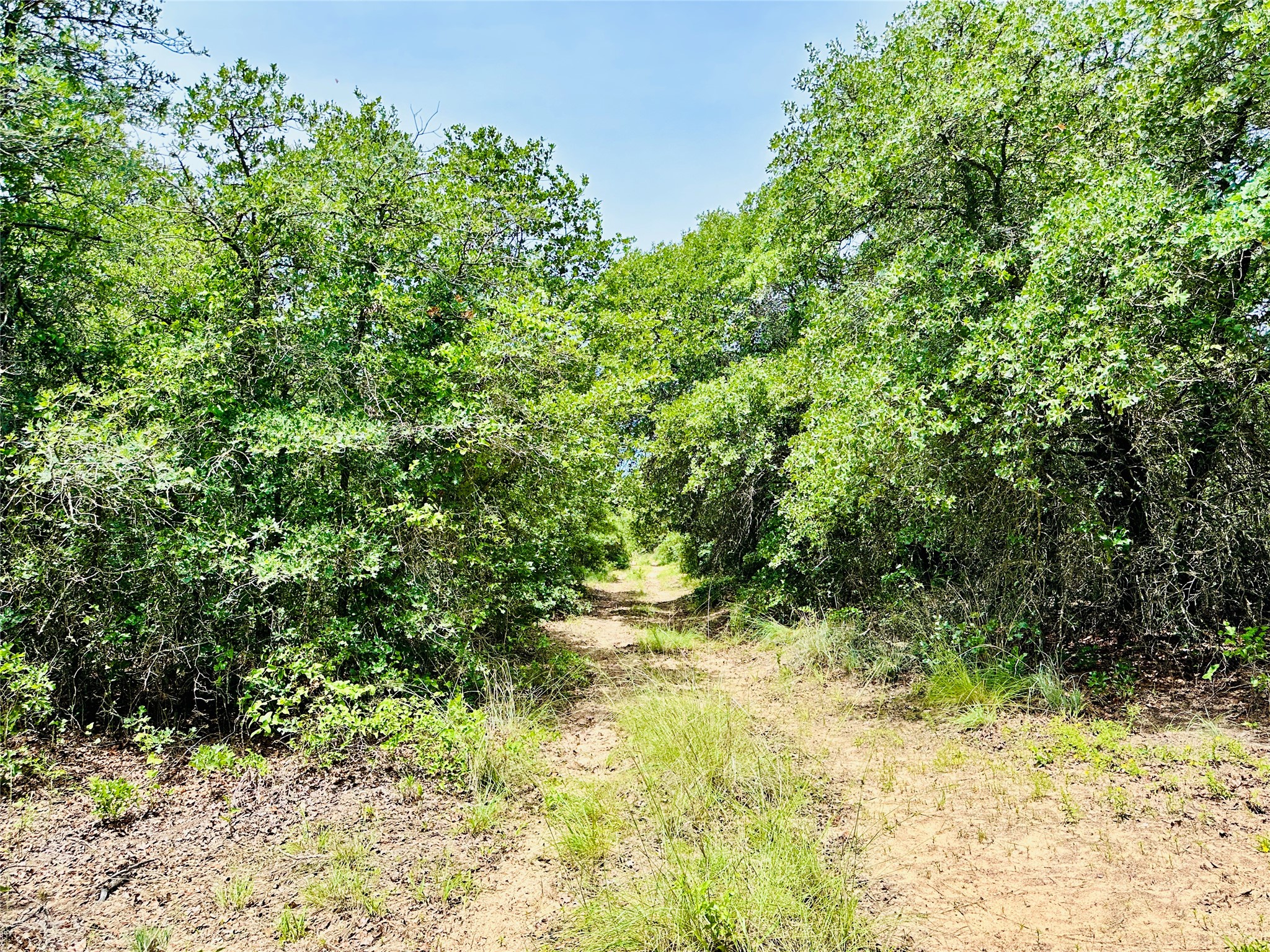 Tbd Cr 404 Cross Plains TX 76443