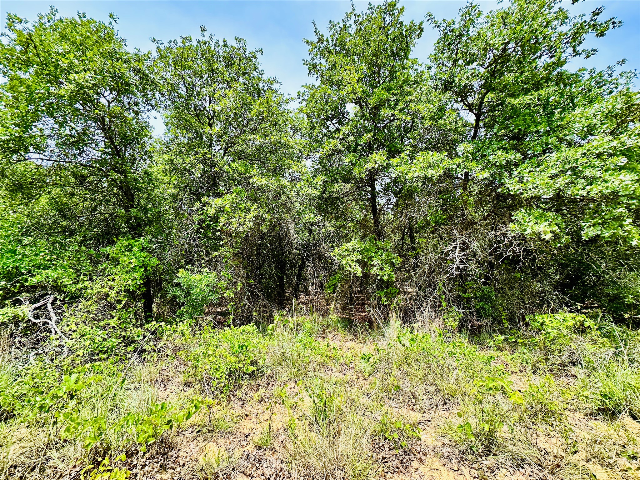 Tbd Cr 404 Cross Plains TX 76443