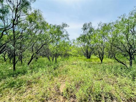 Tbd Cr 404 Cross Plains TX 76443