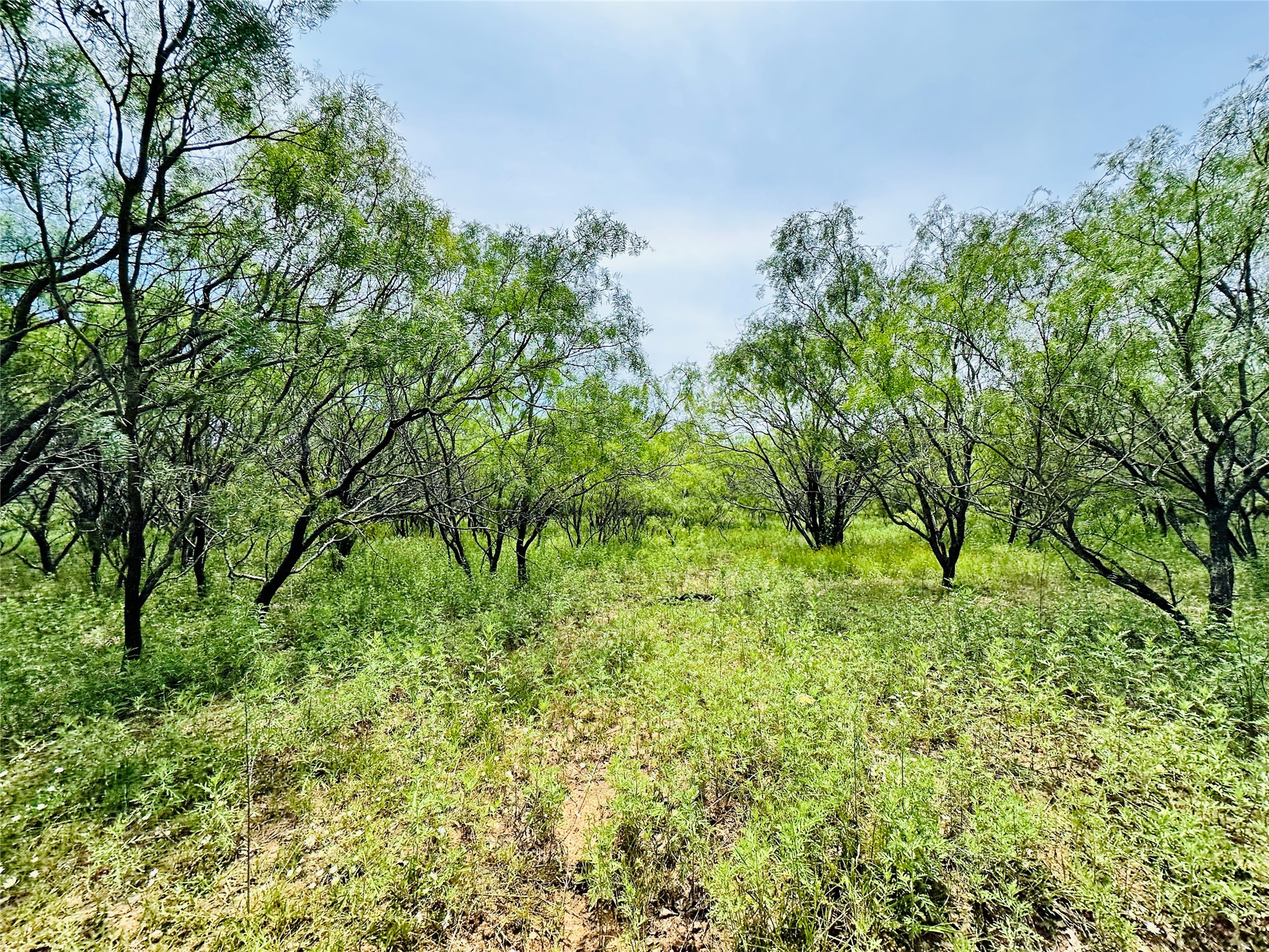 Tbd Cr 404 Cross Plains TX 76443