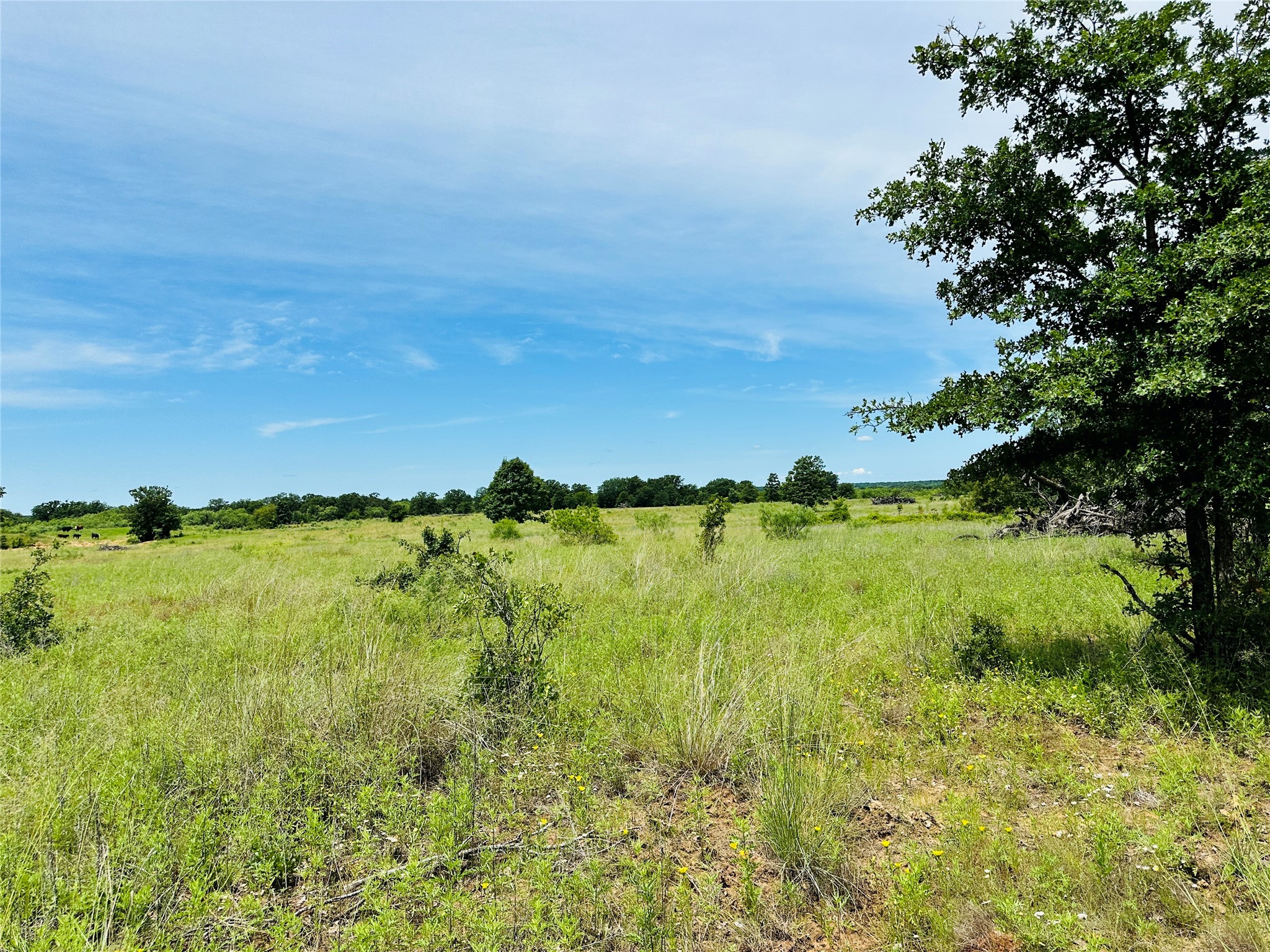 Tbd Cr 404 Cross Plains TX 76443