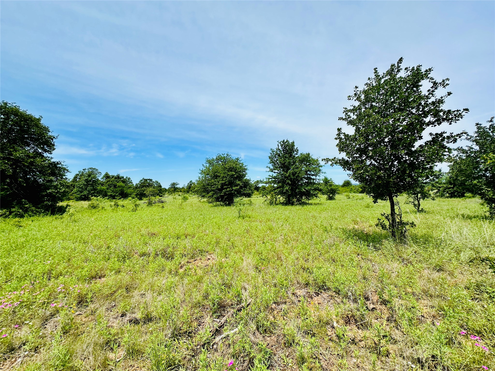 Tbd Cr 404 Cross Plains TX 76443