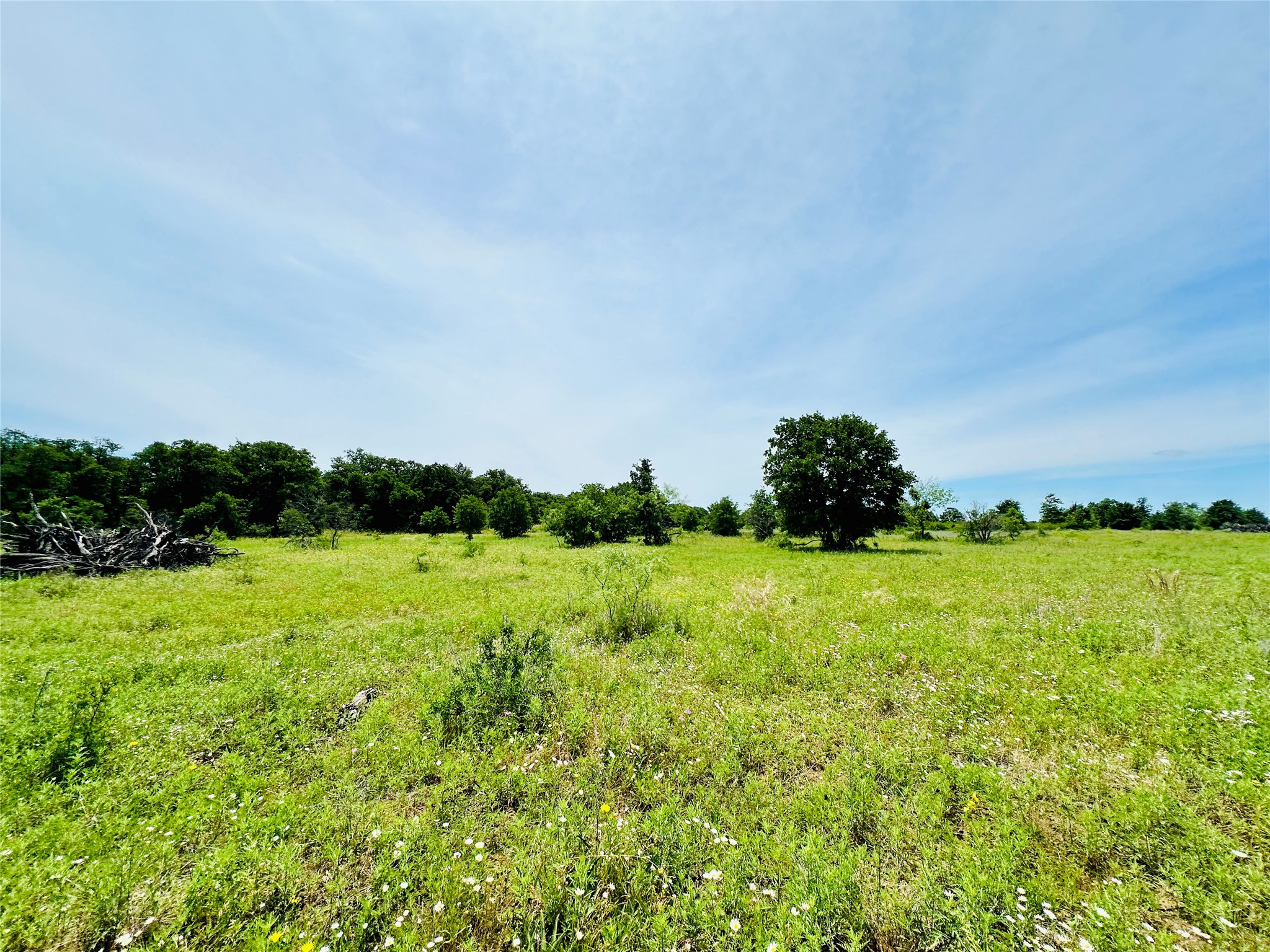 Tbd Cr 404 Cross Plains TX 76443