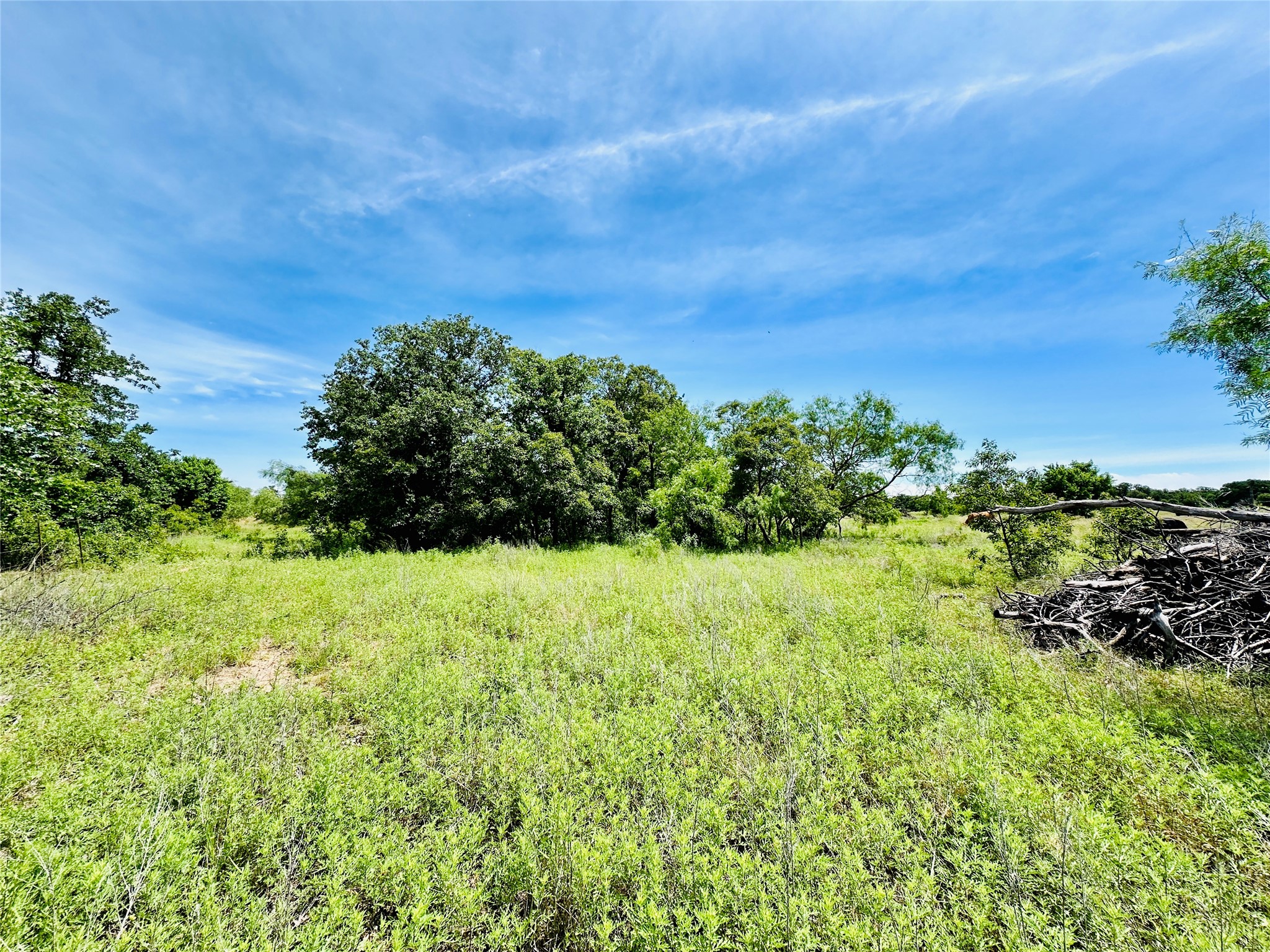 Tbd Cr 404 Cross Plains TX 76443
