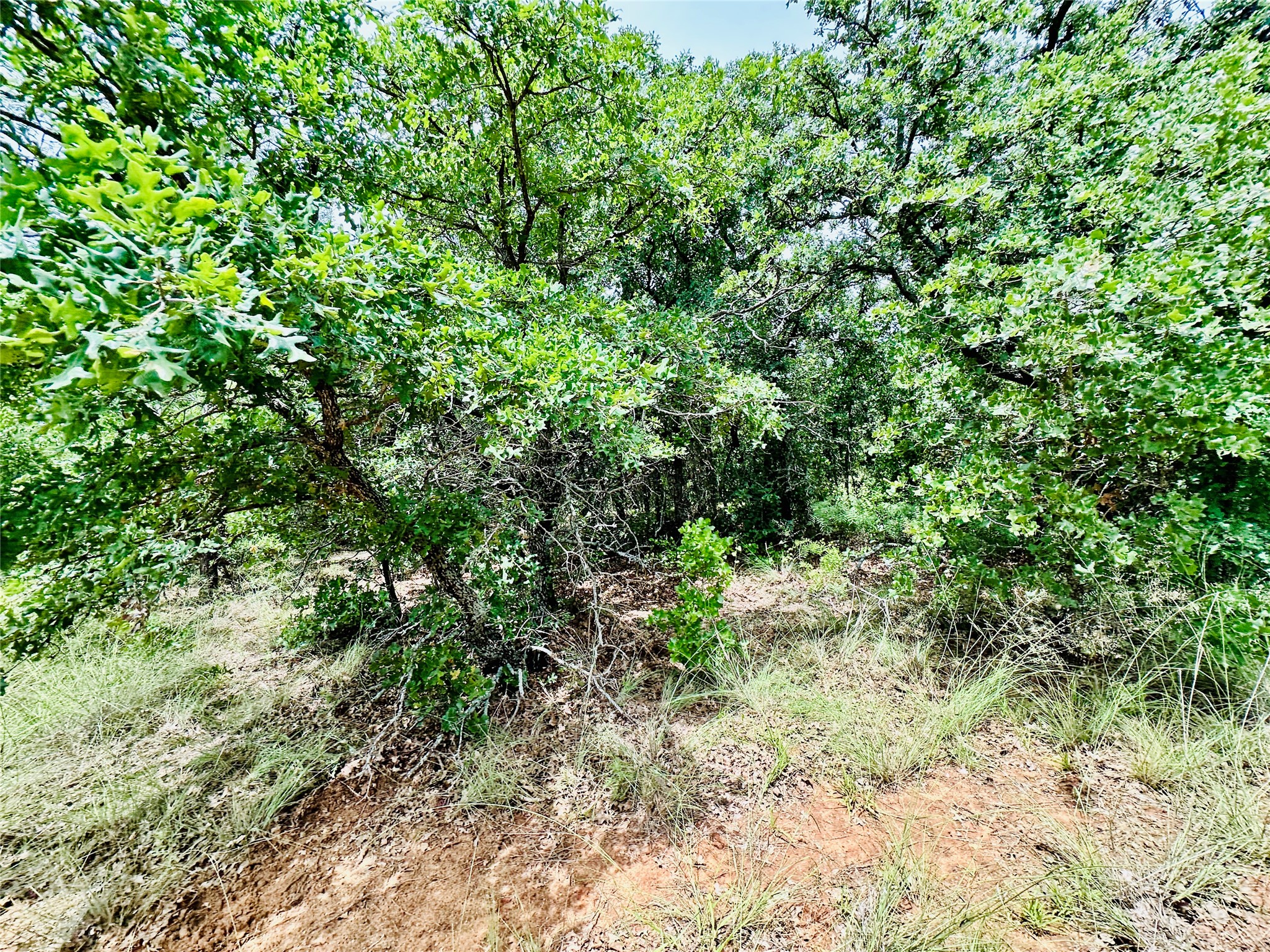 Tbd Cr 404 Cross Plains TX 76443