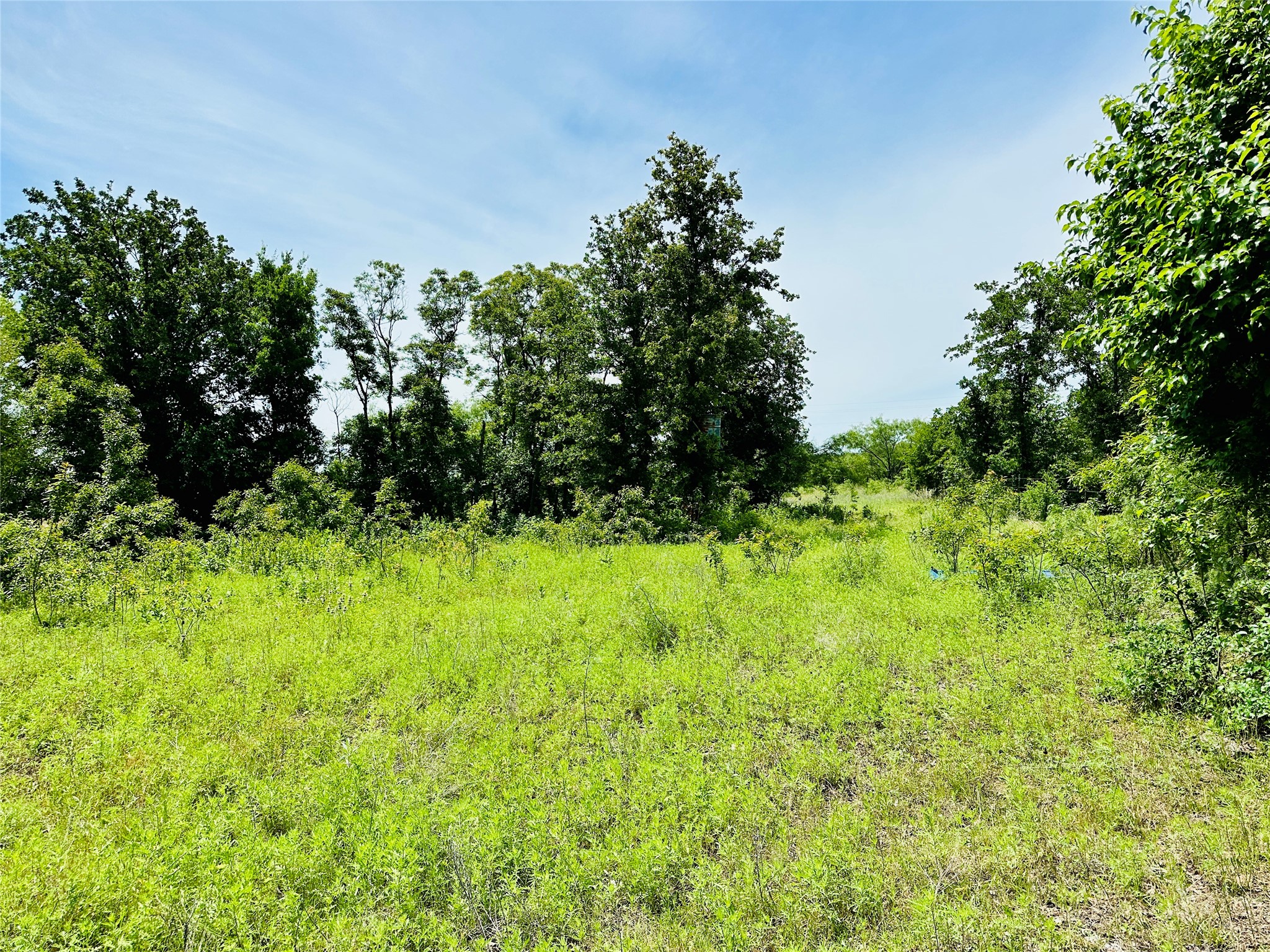 Tbd Cr 404 Cross Plains TX 76443