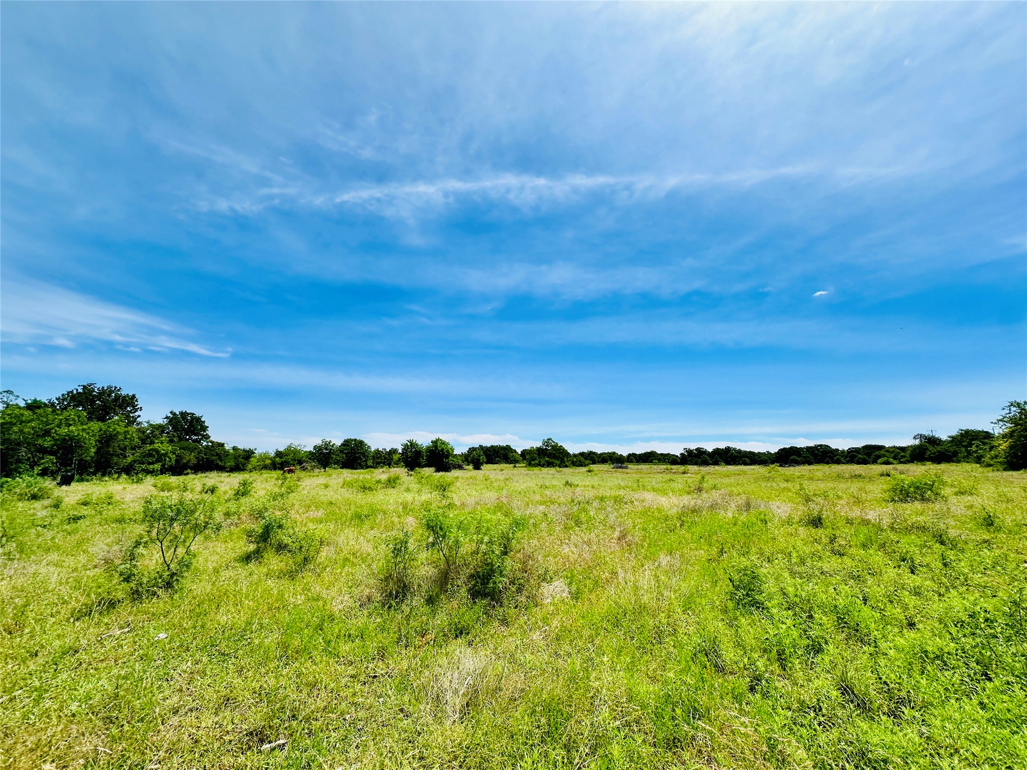 Tbd Cr 404 Cross Plains TX 76443