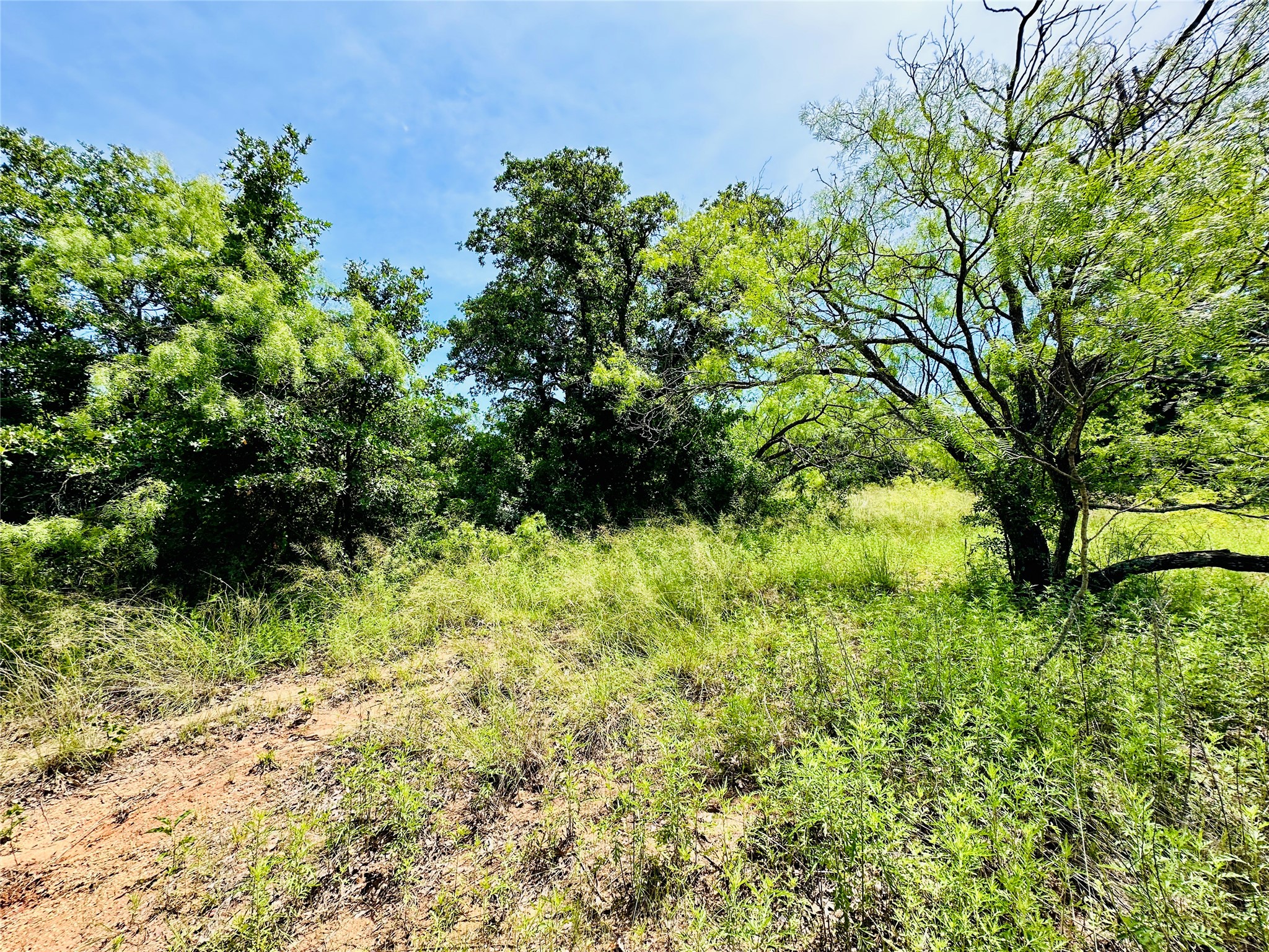 Tbd Cr 404 Cross Plains TX 76443