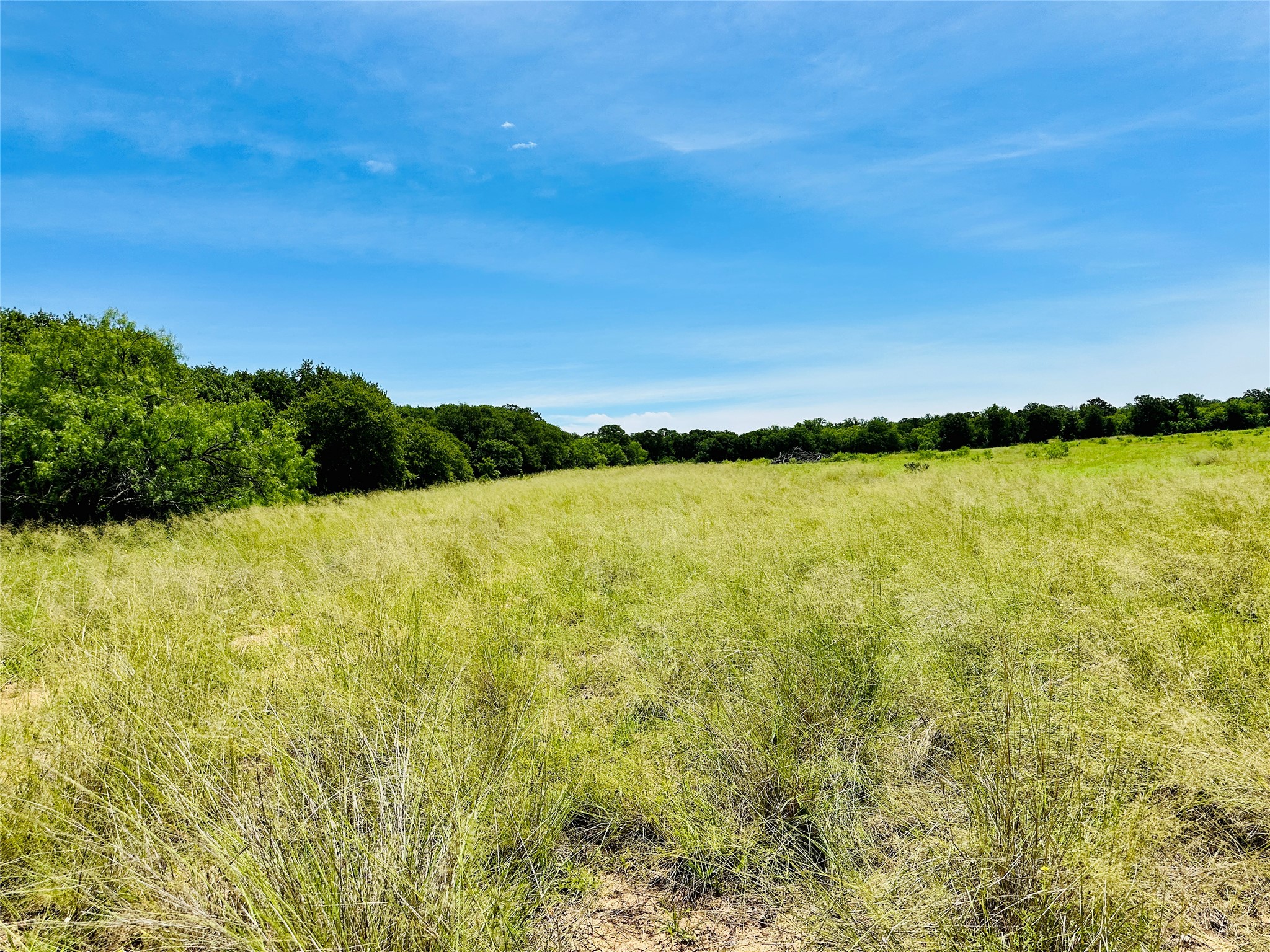 Tbd Cr 404 Cross Plains TX 76443