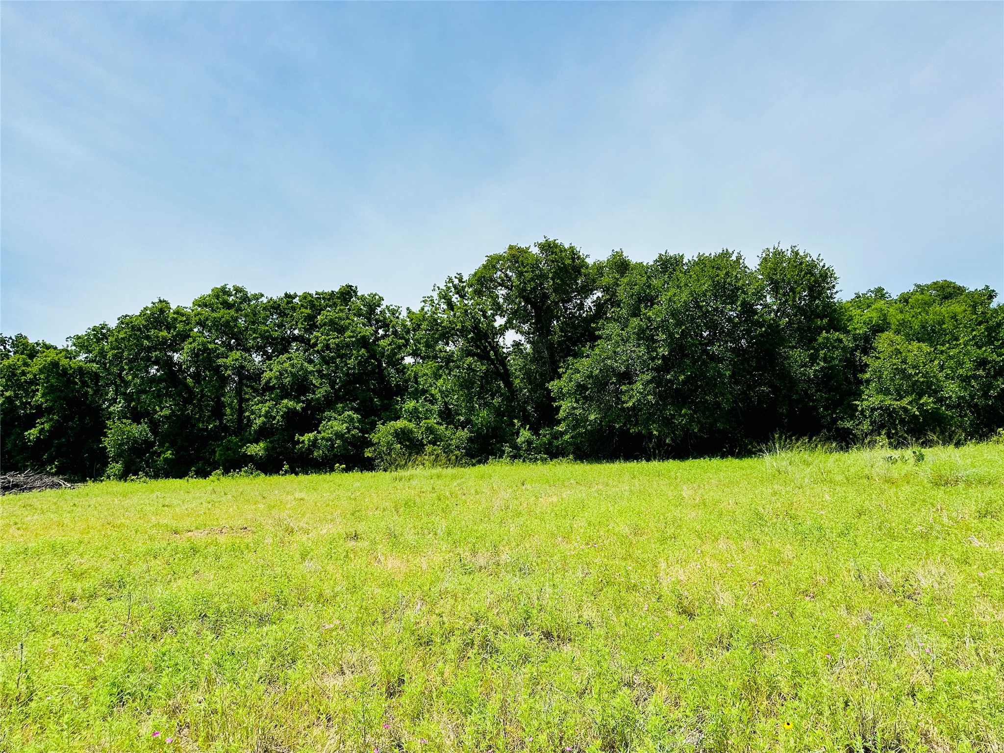 Tbd Cr 404 Cross Plains TX 76443