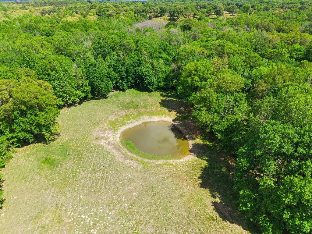 Tbd Vz County Road 4505 Ben Wheeler TX 75754