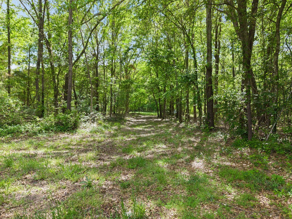 Tbd Vz County Road 4505 Ben Wheeler TX 75754