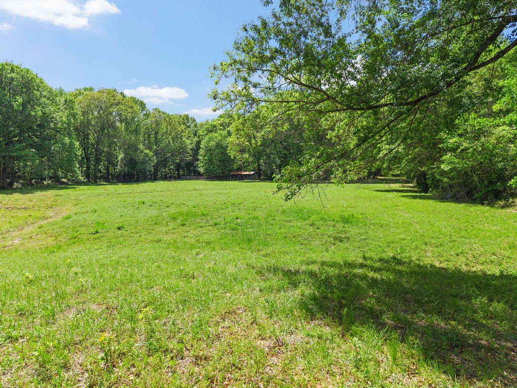 Tbd Vz County Road 4505 Ben Wheeler TX 75754