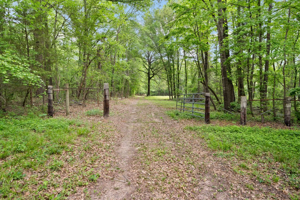 Tbd Vz County Road 4505 Ben Wheeler TX 75754