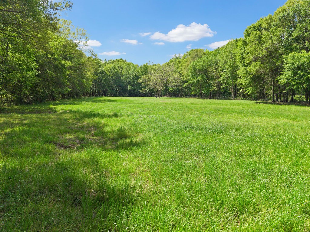 Tbd Vz County Road 4505 Ben Wheeler TX 75754