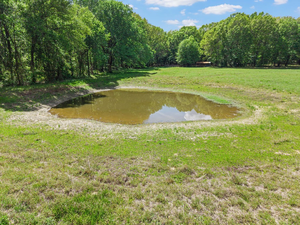 Tbd Vz County Road 4505 Ben Wheeler TX 75754