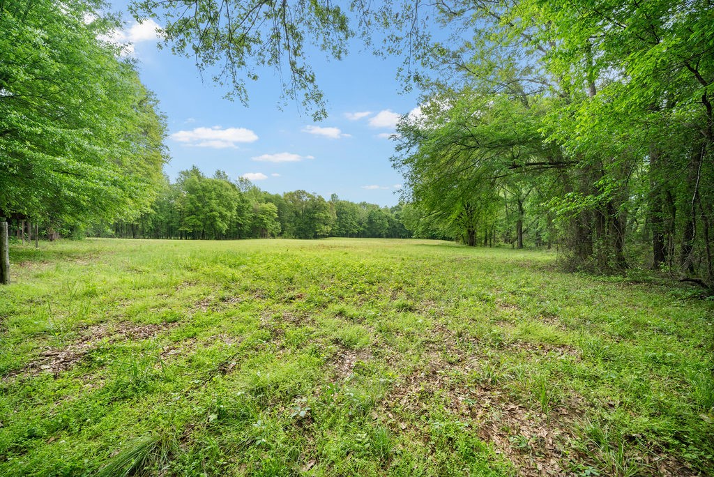 Tbd Vz County Road 4505 Ben Wheeler TX 75754