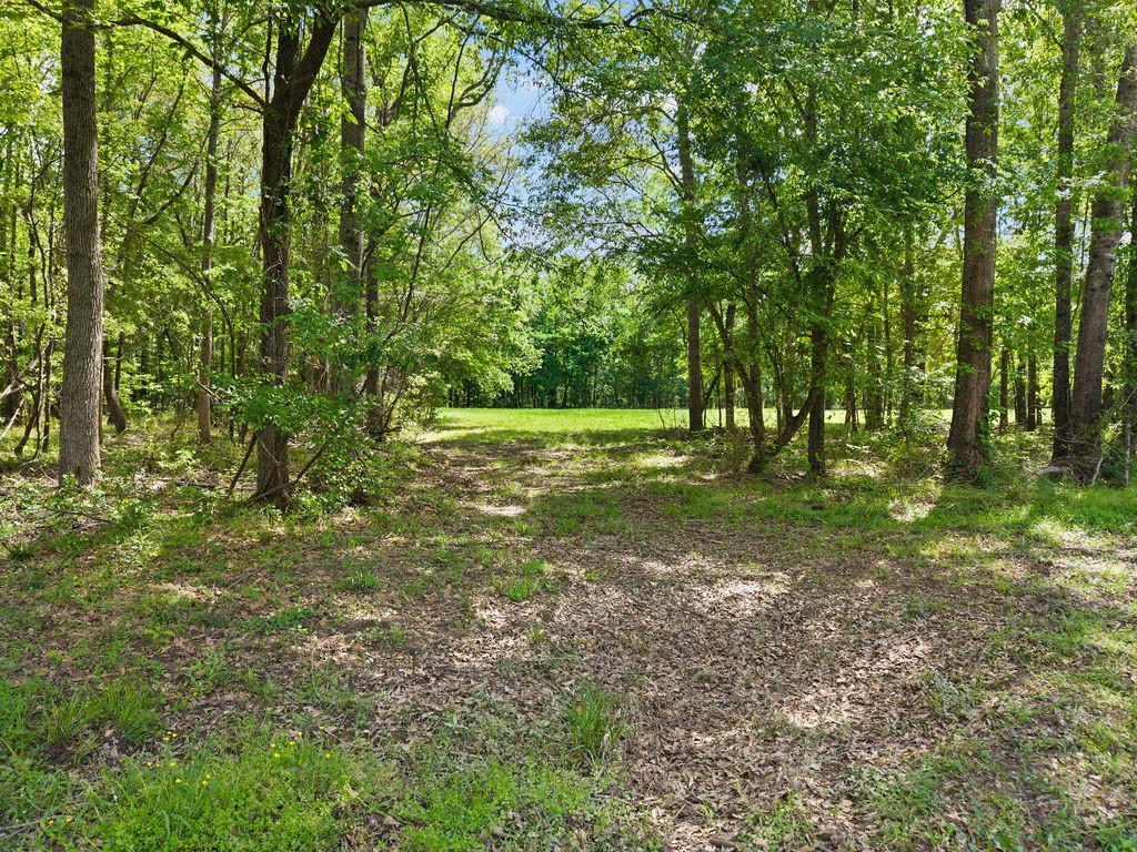 Tbd Vz County Road 4505 Ben Wheeler TX 75754