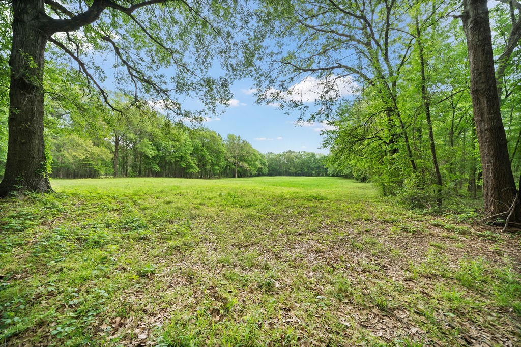 Tbd Vz County Road 4505 Ben Wheeler TX 75754