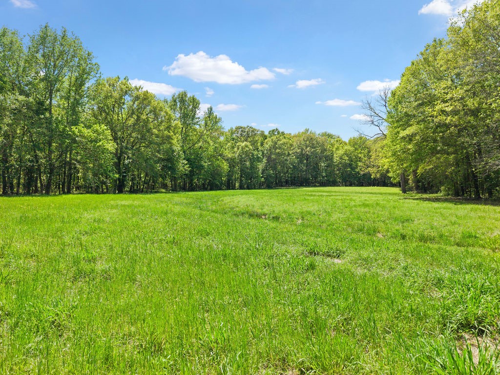 Tbd Vz County Road 4505 Ben Wheeler TX 75754