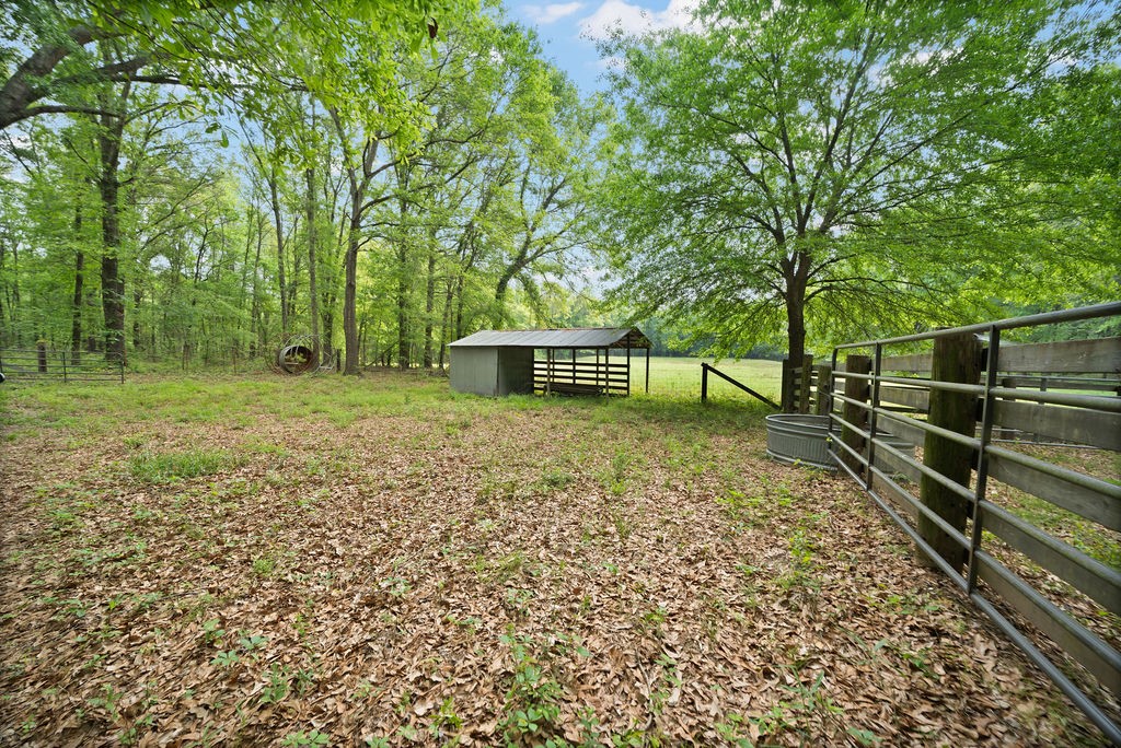 Tbd Vz County Road 4505 Ben Wheeler TX 75754
