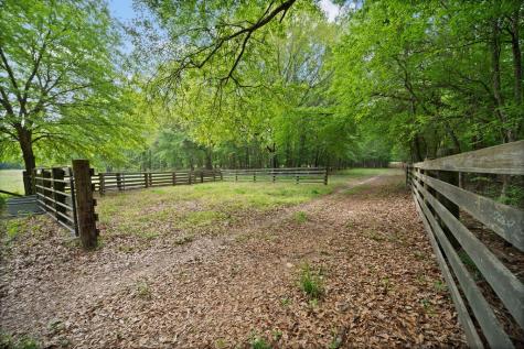 Tbd Vz County Road 4505 Ben Wheeler TX 75754