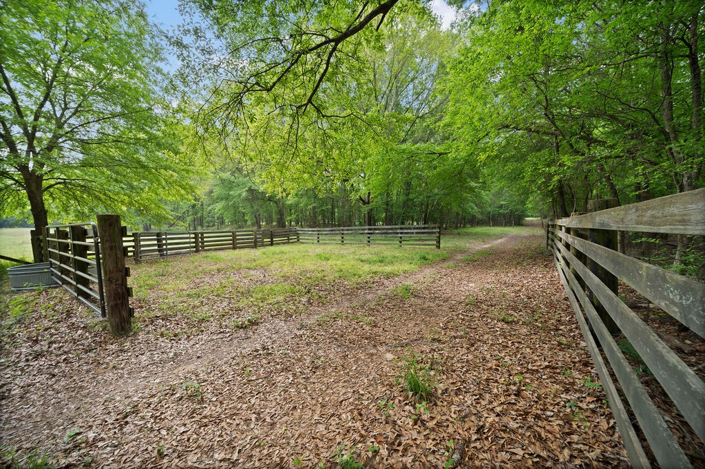 Tbd Vz County Road 4505 Ben Wheeler TX 75754