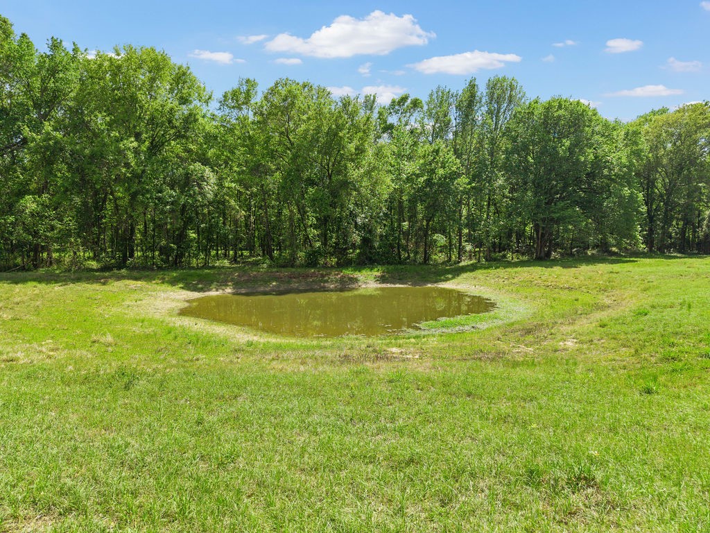Tbd Vz County Road 4505 Ben Wheeler TX 75754