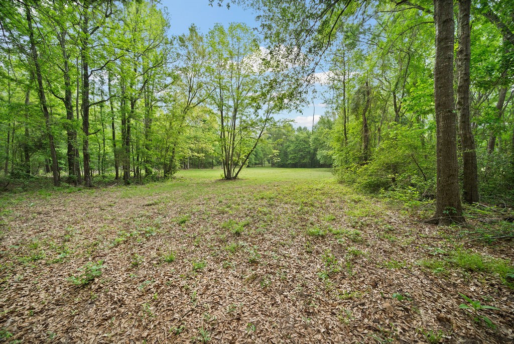 Tbd Vz County Road 4505 Ben Wheeler TX 75754