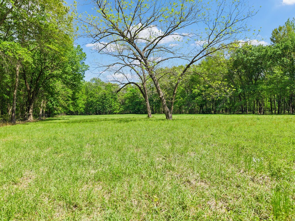 Tbd Vz County Road 4505 Ben Wheeler TX 75754