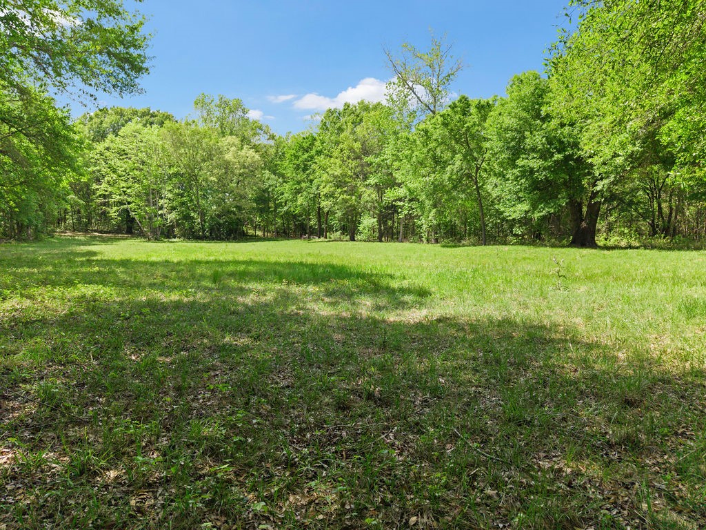 Tbd Vz County Road 4505 Ben Wheeler TX 75754