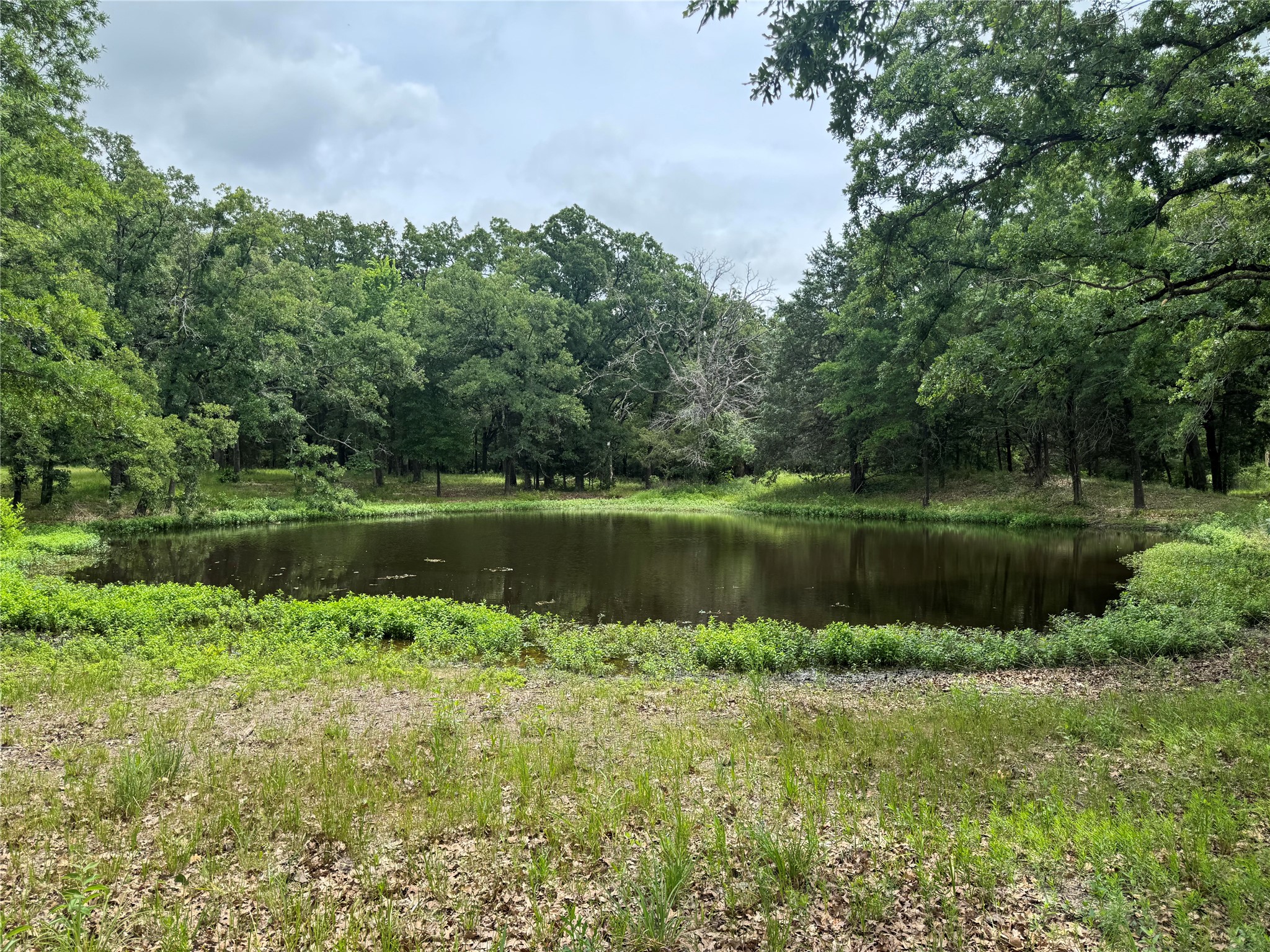 Tbd Co Road 4022 Kemp TX 75143