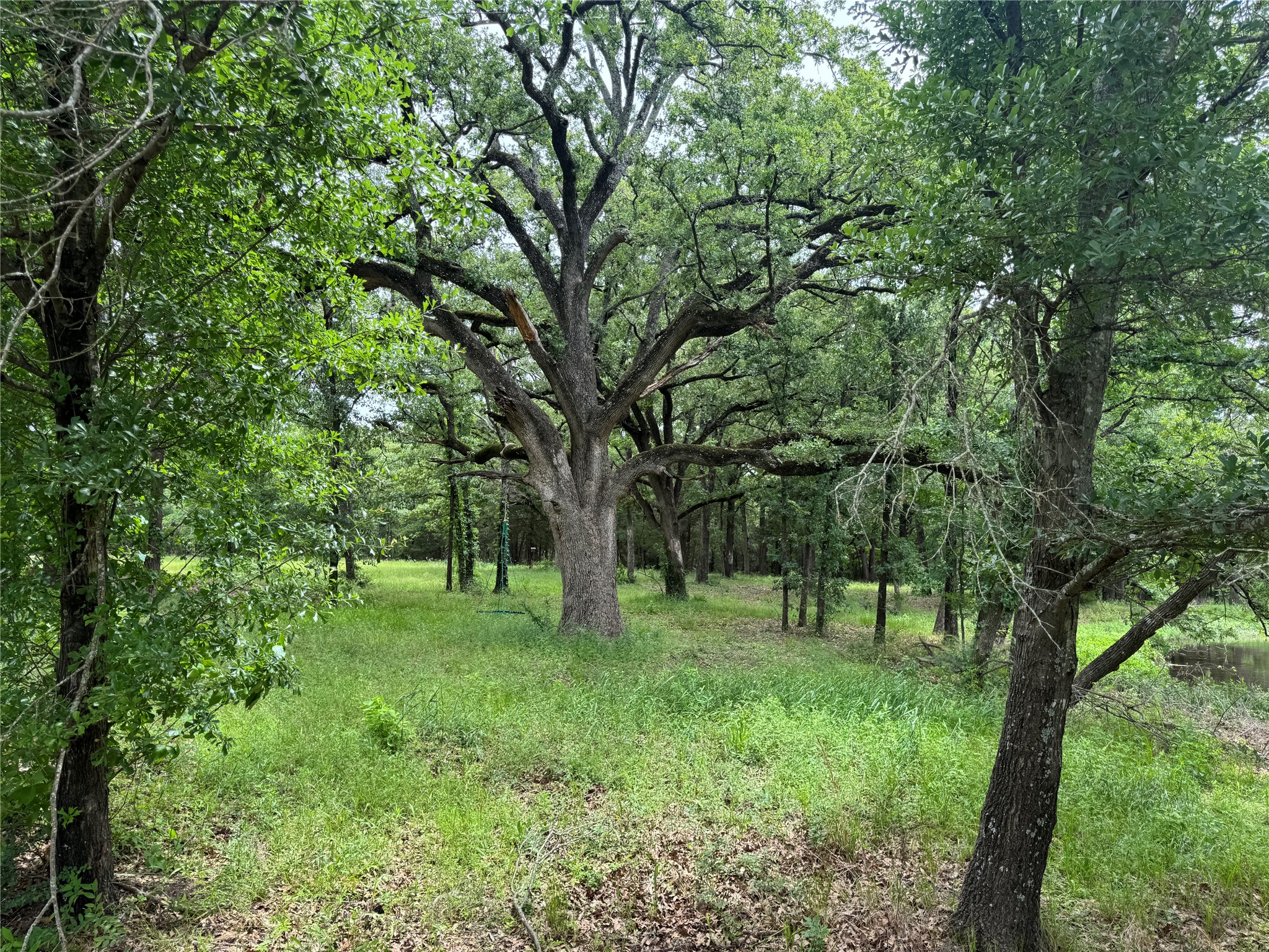Tbd Co Road 4022 Kemp TX 75143