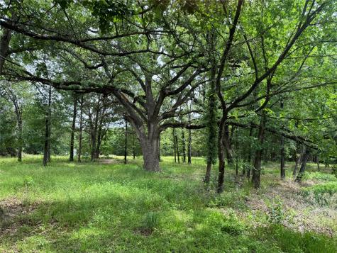 Tbd Co Road 4022 Kemp TX 75143