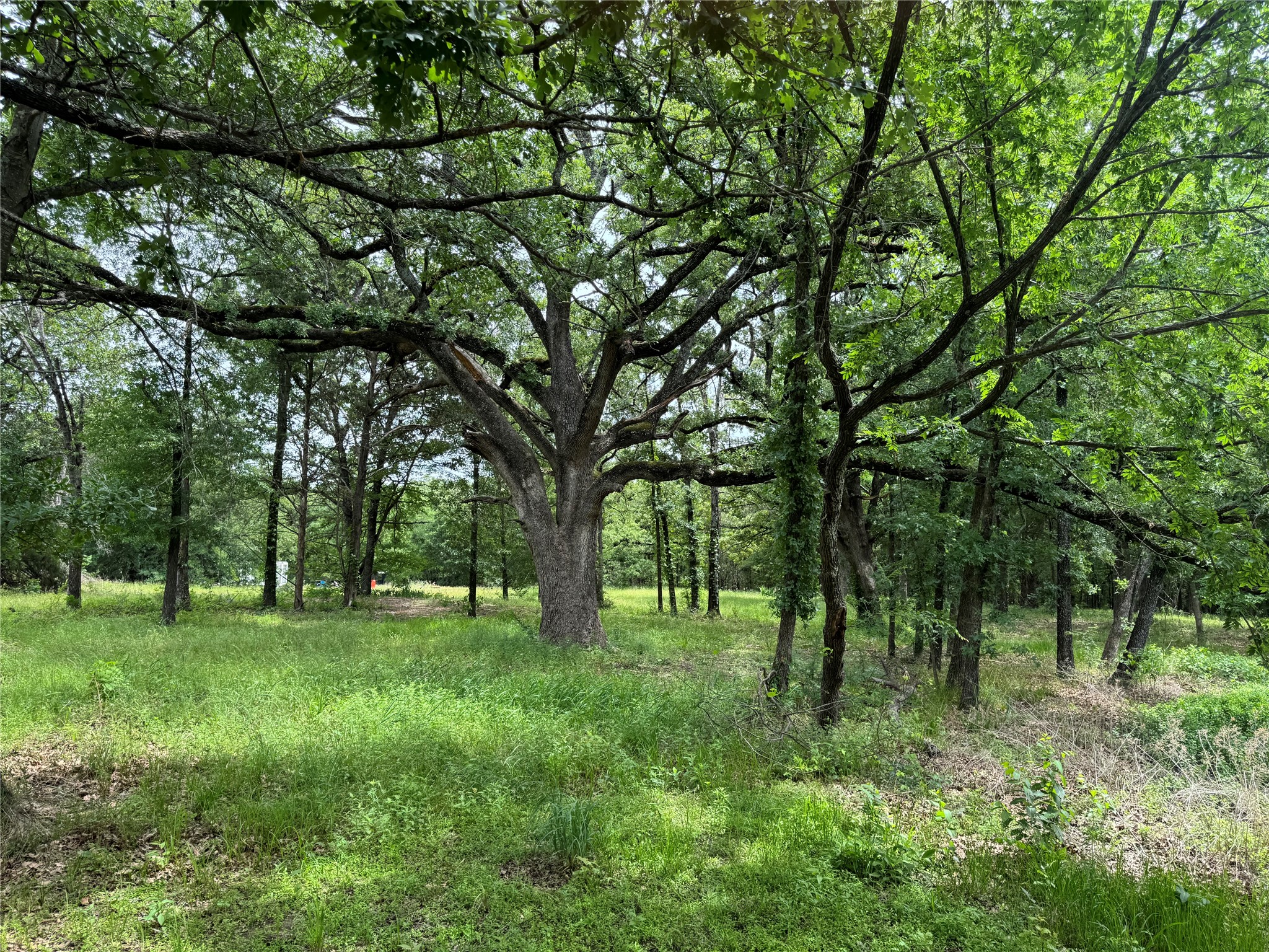 Tbd Co Road 4022 Kemp TX 75143