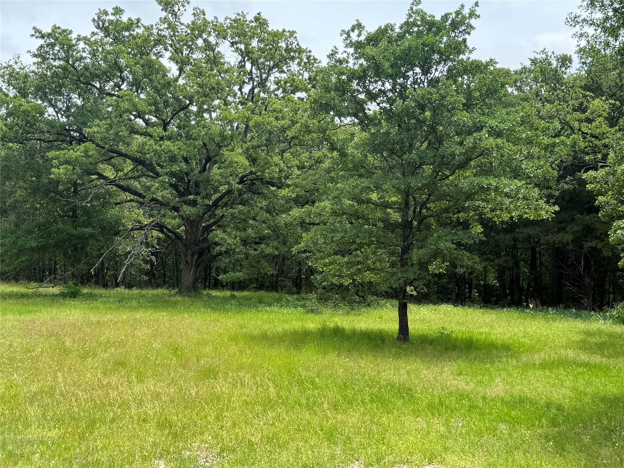 Tbd Co Road 4022 Kemp TX 75143