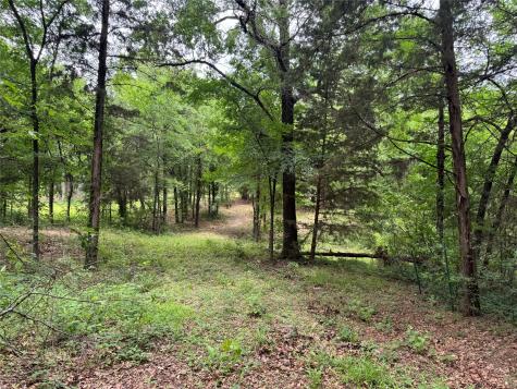 Tbd Co Road 4022 Kemp TX 75143