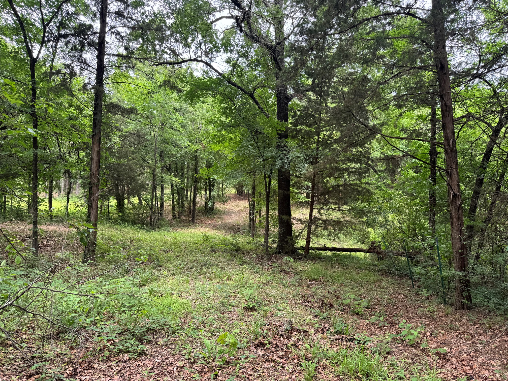 Tbd Co Road 4022 Kemp TX 75143